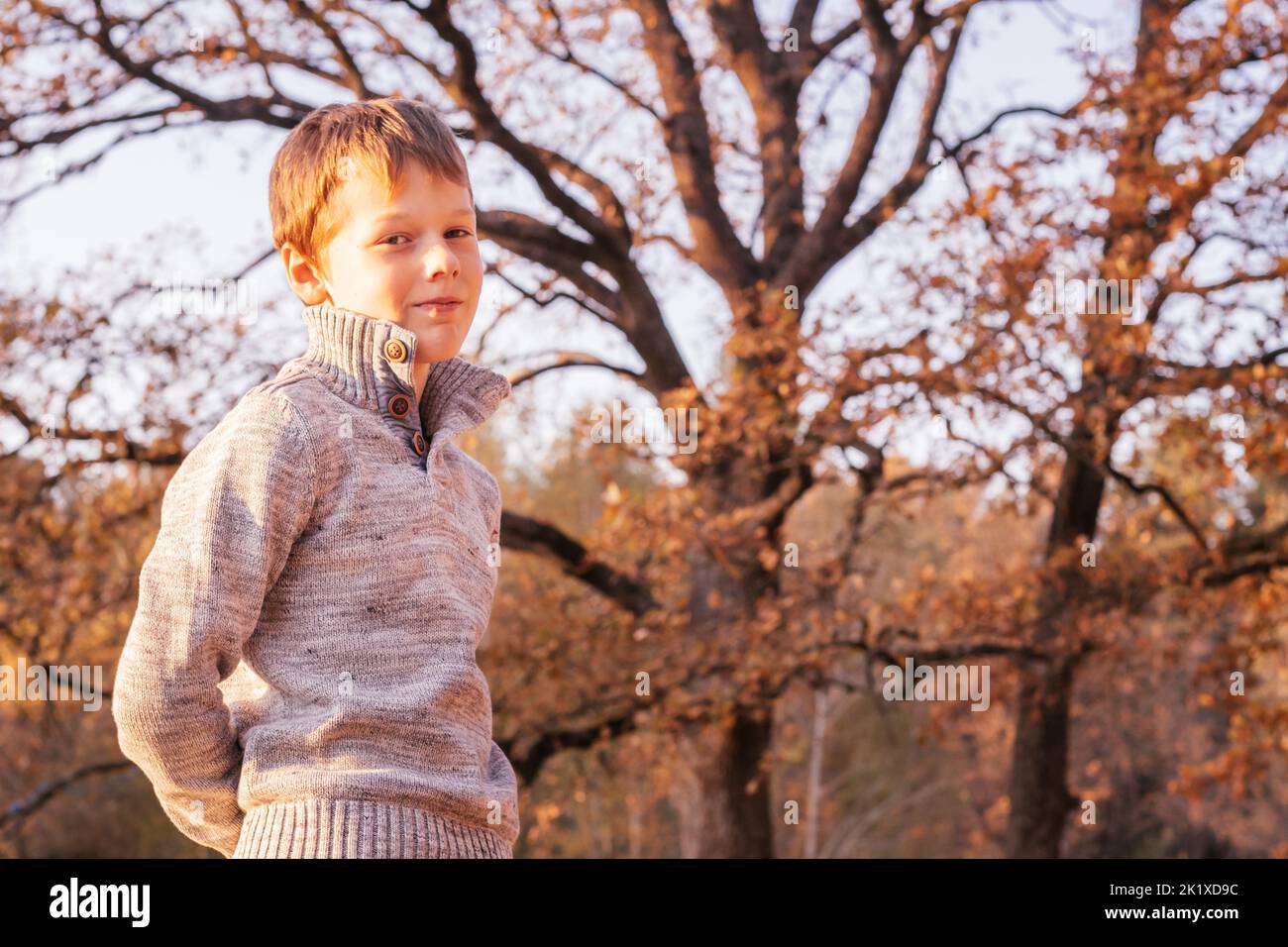 Niño de 9-10 años de edad está en el parque de otoño al aire libre en rayos de puesta de sol, sonríe y mira en el marco. Niño en jersey gris contra fondo de robles Foto de stock