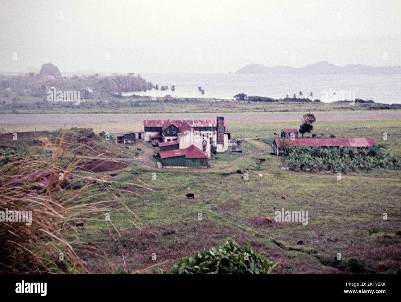 Subtitulado como 'fábrica de cigarrillos cerca del aeropuerto, San Vicente, Islas de Barlovento, Indias Occidentales, 1962 Foto de stock