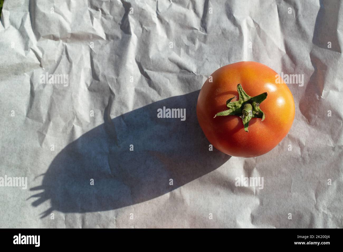 Vista superior de un tomate maduro y jugoso sobre fondo blanco. Foto de stock