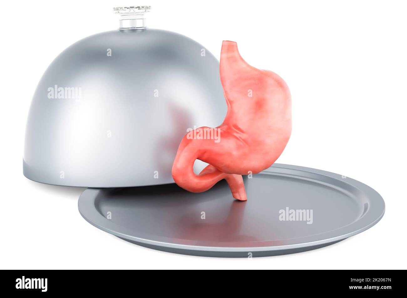 Dieta para problemas estomacales, concepto. Cloche restaurante con estómago humano, 3D renderizado aislado sobre fondo blanco Foto de stock