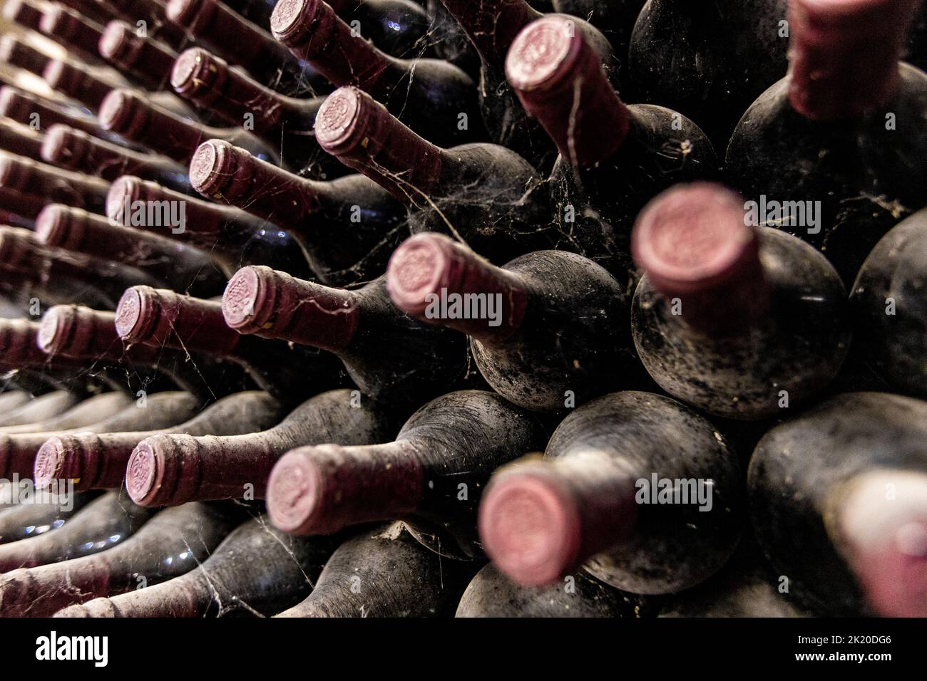 Primer plano de las botellas de vino de archivo Foto de stock