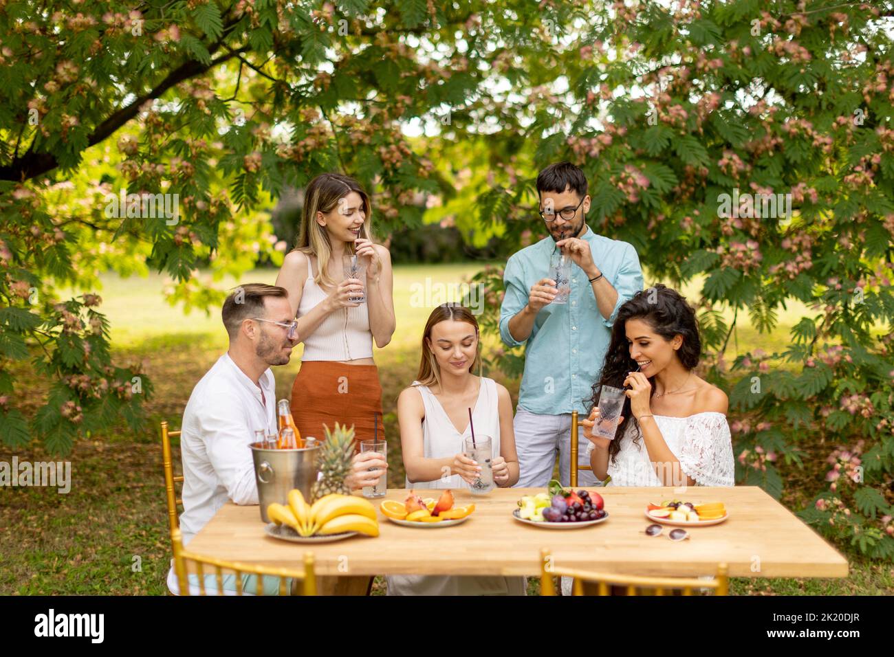 Grupo de jóvenes alegrando con limonada fresca y comiendo frutas en el jardín Foto de stock