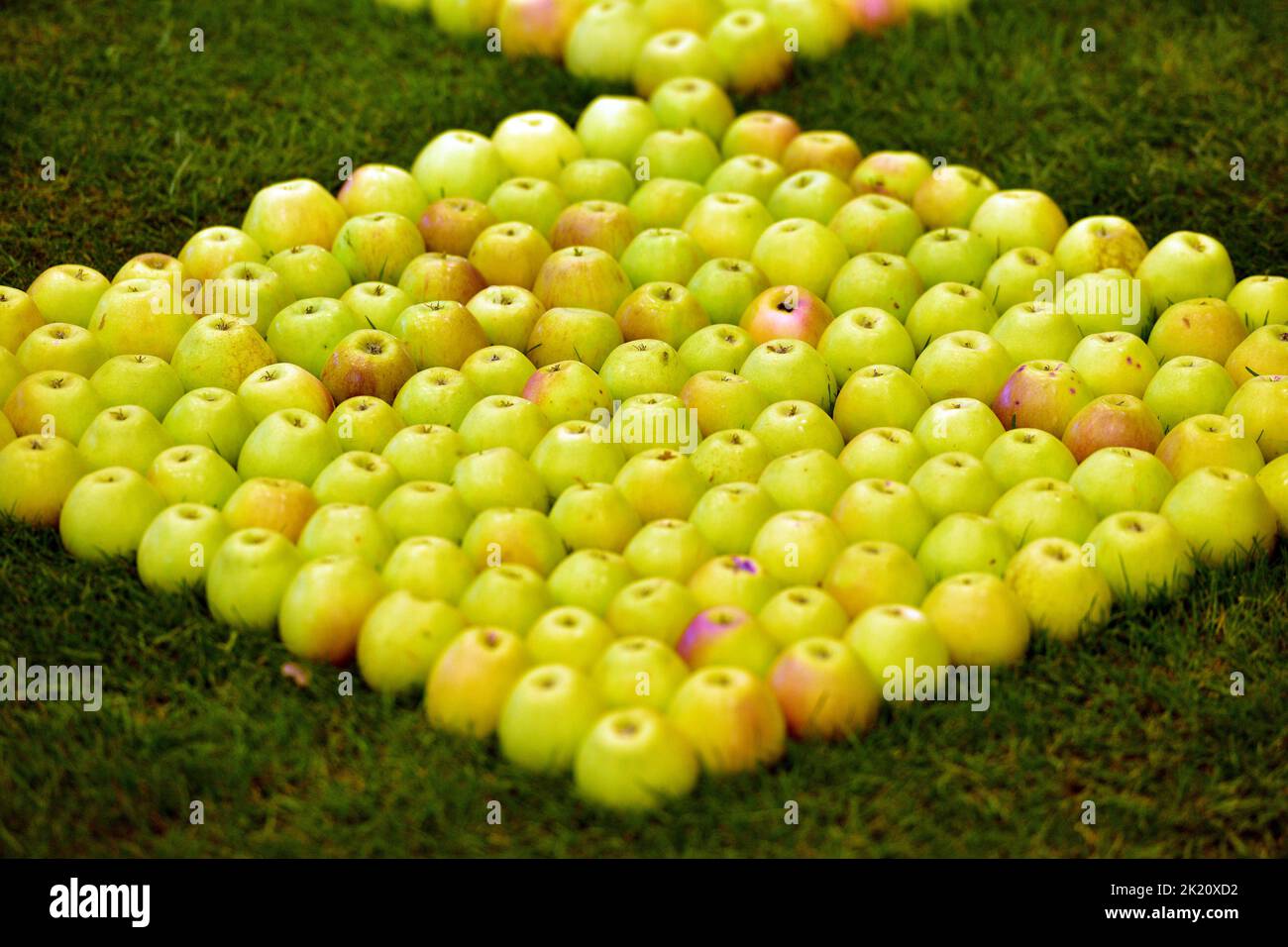 Pruebe con manzanas en la feria Tulln Garden Fair Foto de stock