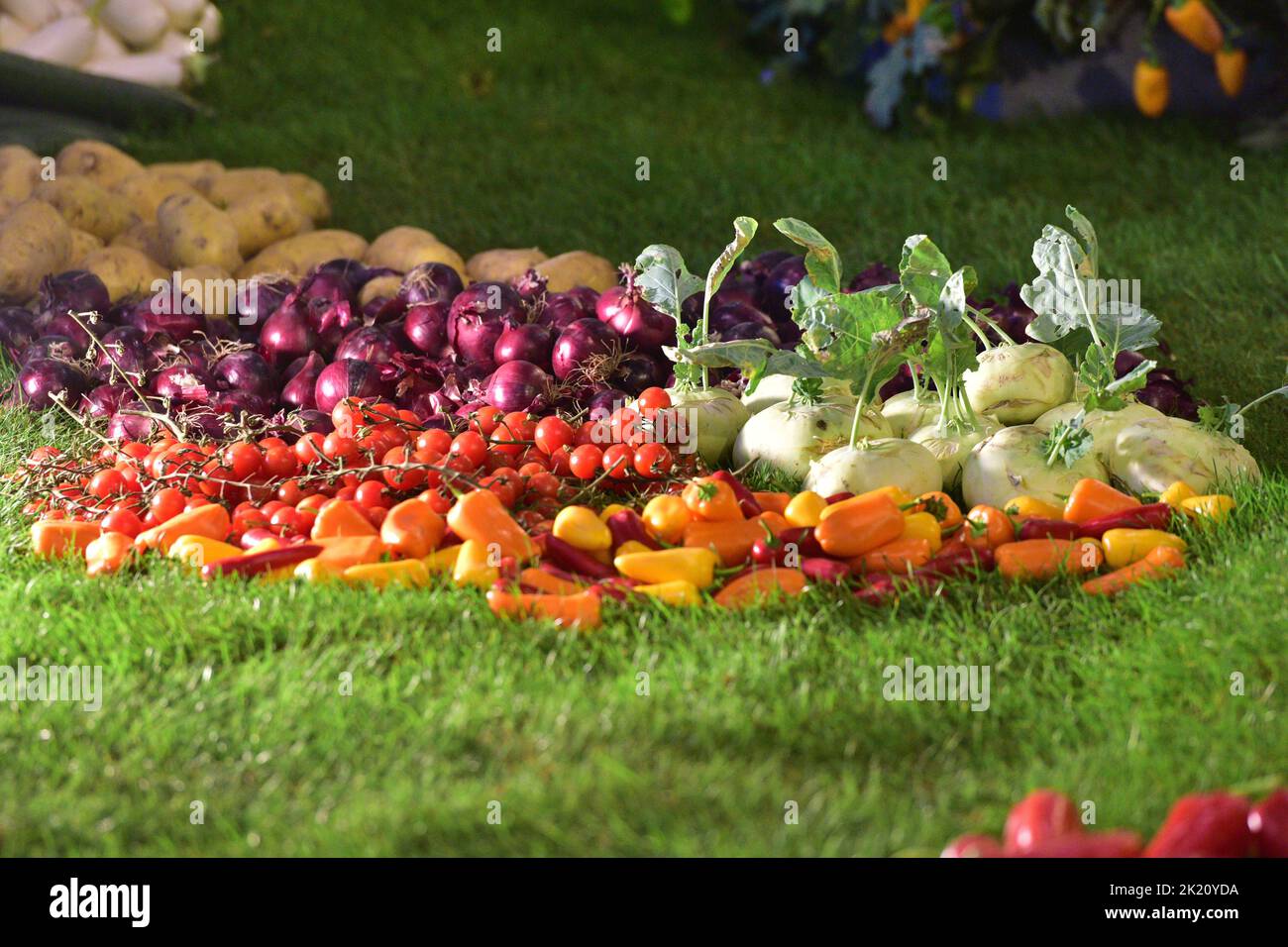 Decoración con diferentes tipos de verduras en una feria de jardinería en Austria Foto de stock