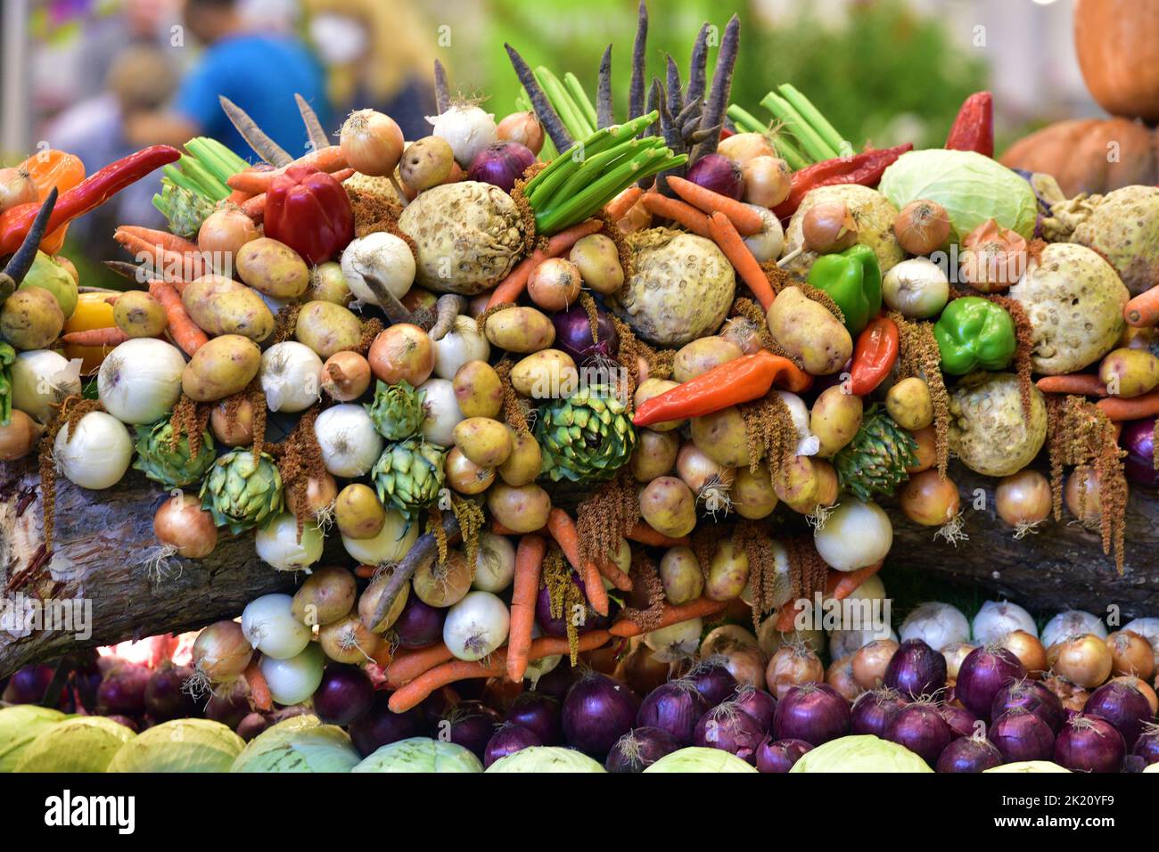 Decoración con diferentes tipos de verduras en una feria de jardinería en Austria Foto de stock