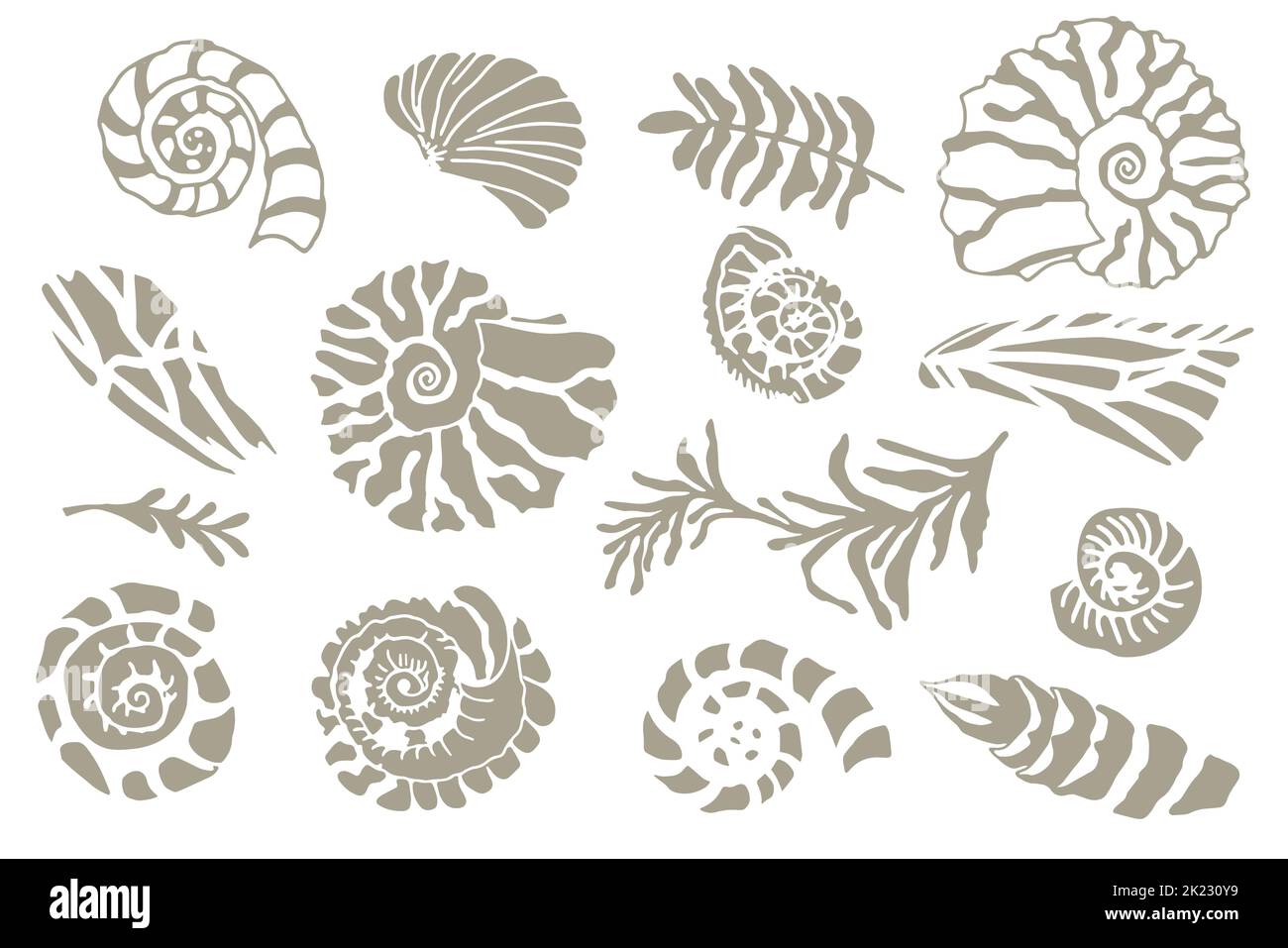 Conjunto de silueta esténcil conchas marinas y plantas OCEANO dibujado a mano o caracol molusco vieiras Animales submarinos Fósil Náutico y acuario Ilustración del Vector