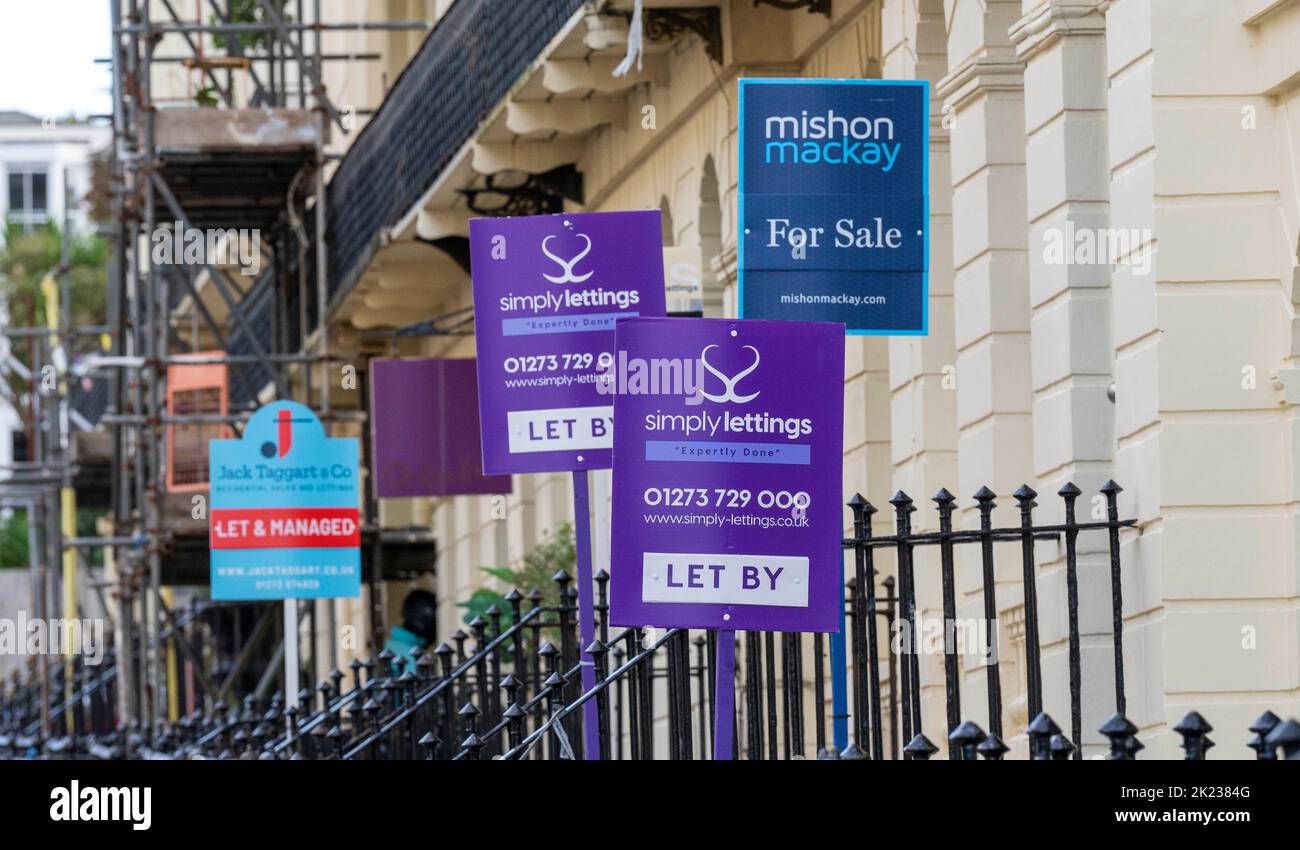 Selección de agentes inmobiliarios y juntas de agentes de alquiler, incluyendo Mishon Mackay , Simply Lettings en Brighton , Sussex , Inglaterra, Reino Unido Foto de stock