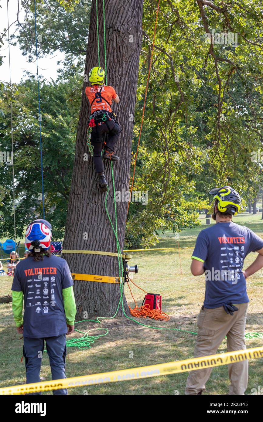 Detroit, Michigan - Arboristas profesionales compiten en el Michigan Tree Climbing Championship. Foto de stock
