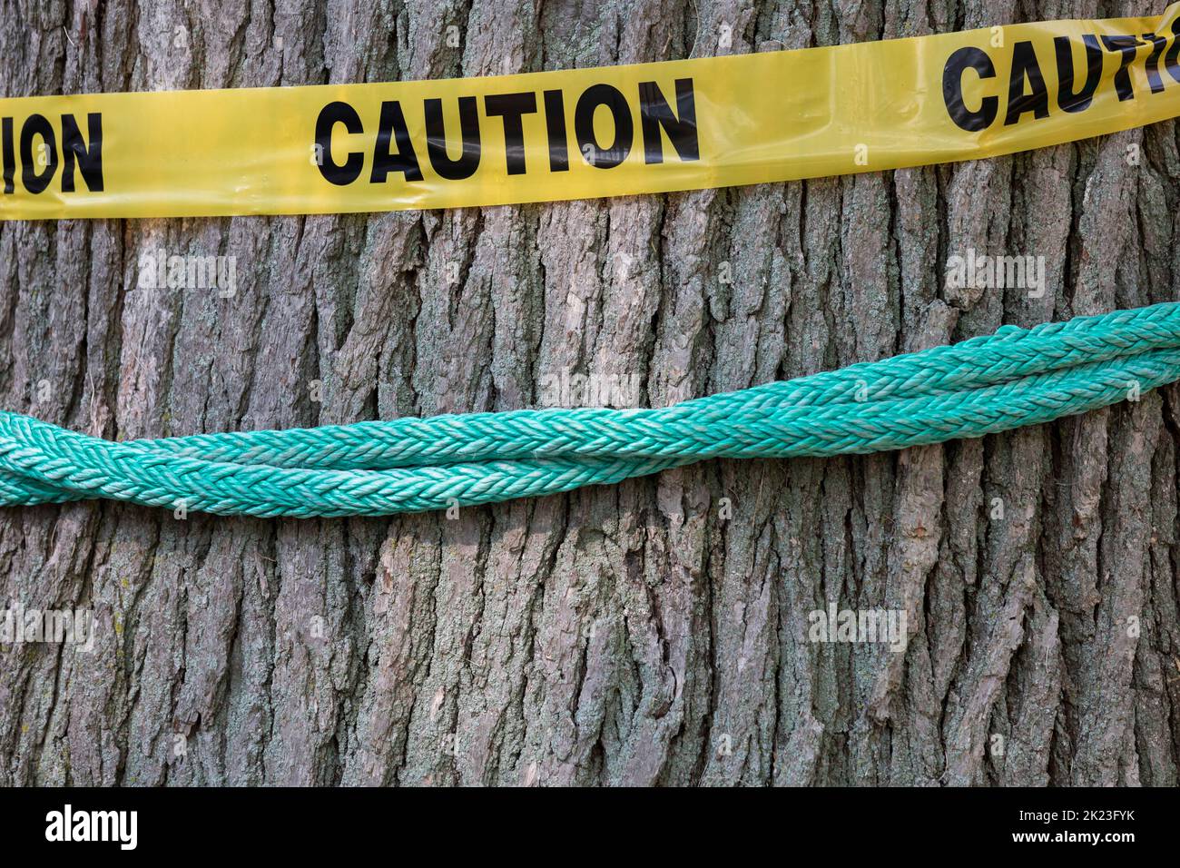 Detroit, Michigan - Una cinta de precaución Una cuerda de escalada rodea un árbol mientras los arboristas profesionales compiten en el Michigan Tree Climbing Championship. Foto de stock