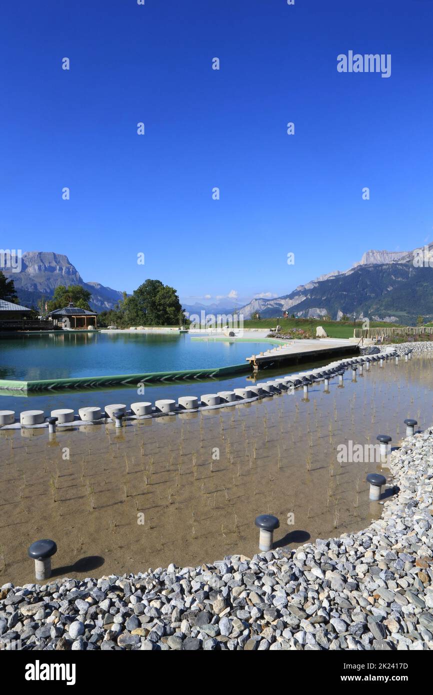 Plan d'eau Biotopo de Combloux. Alta Saboya. Auvernia-Rhône-Alpes. Francia. Europa. Foto de stock