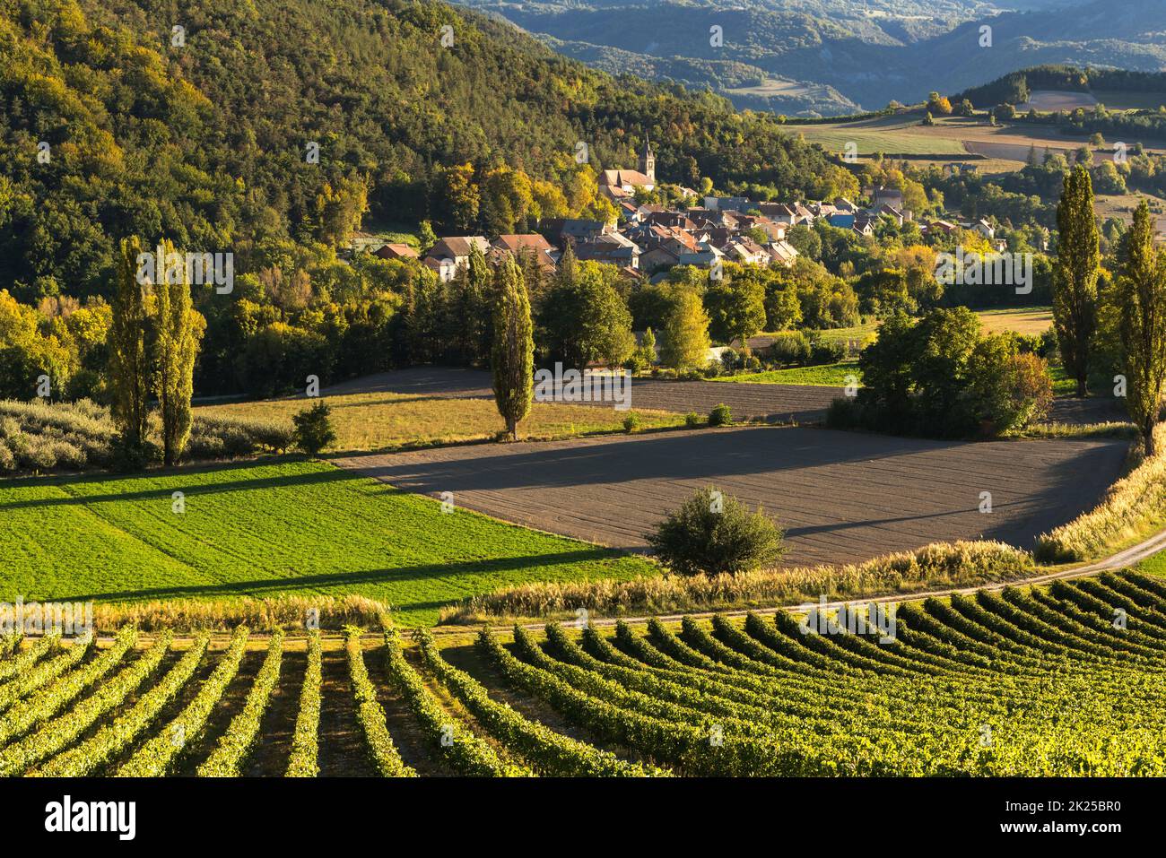 Pueblo de Valserres y viñedos en otoño. Bodega y viñedos en los Altos Alpes, Alpes, Francia Foto de stock