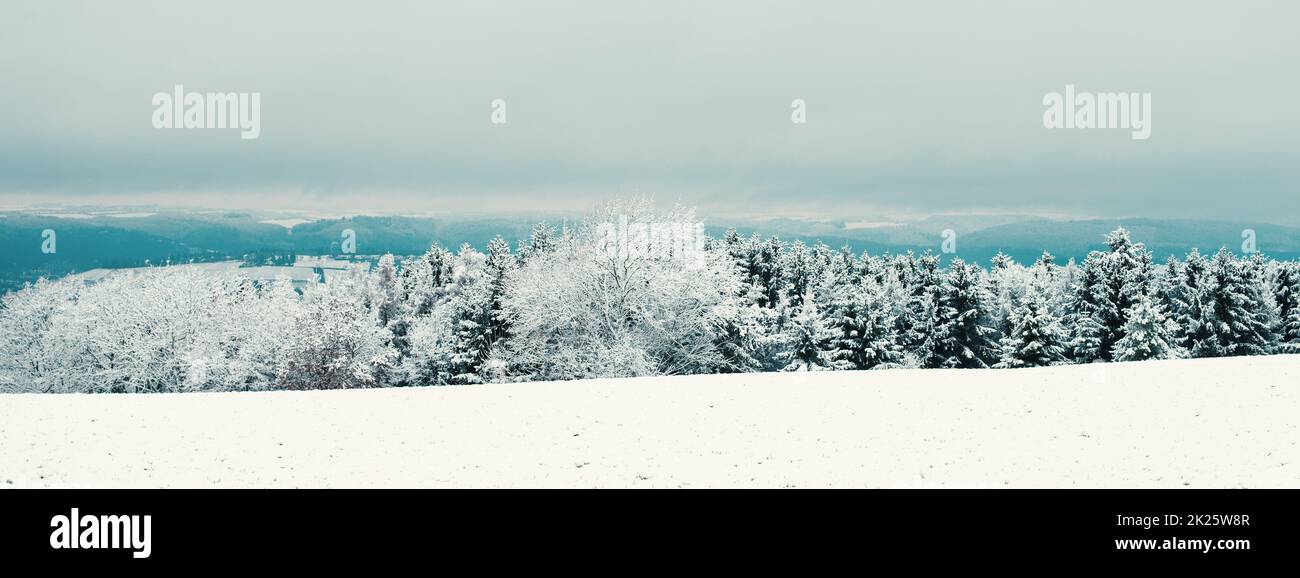 Paisaje en la nieve, invierno en Alemania, bosques y montañas, Valle del Mosela Foto de stock