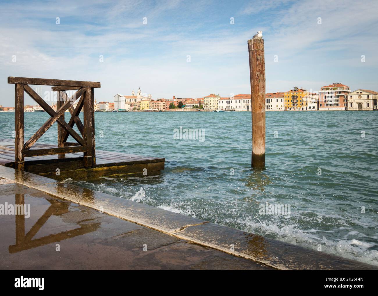 Una gaviota frente a la laguna de Venecia con la plaza de San Marcos y el palacio del Doge borroso en el fondo Foto de stock