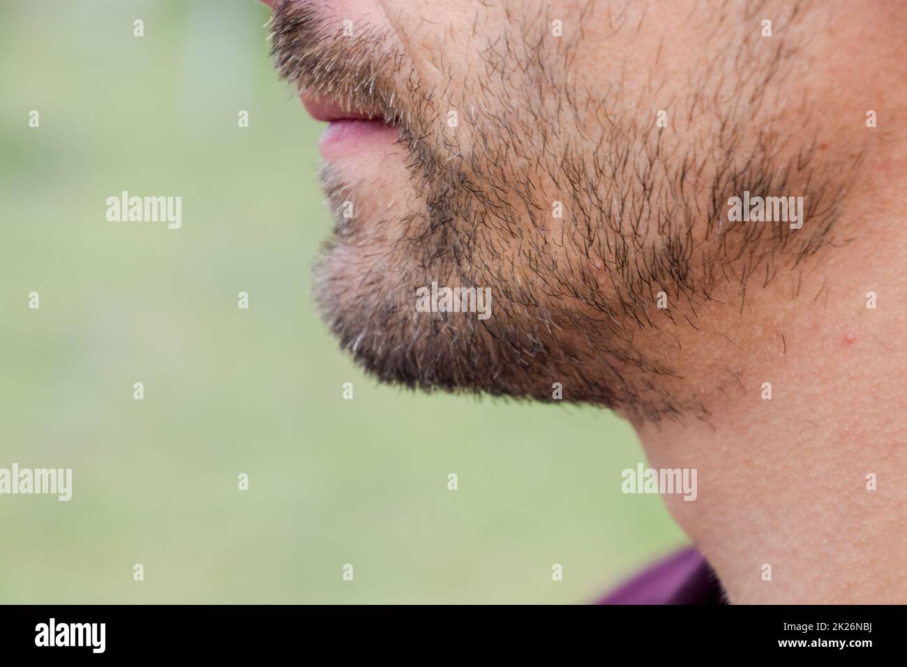 Rastrojo en la cara. Un hombre con una barba rubia corta. Barba corta  Fotografía de stock - Alamy