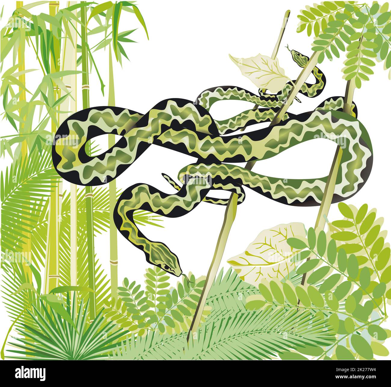 Dos serpientes en la selva, ilustración Foto de stock