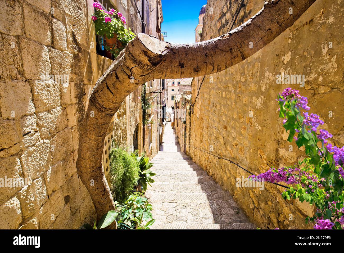 Dubrovnik empinado estrecho y colorido vista de la calle, destino turístico Foto de stock