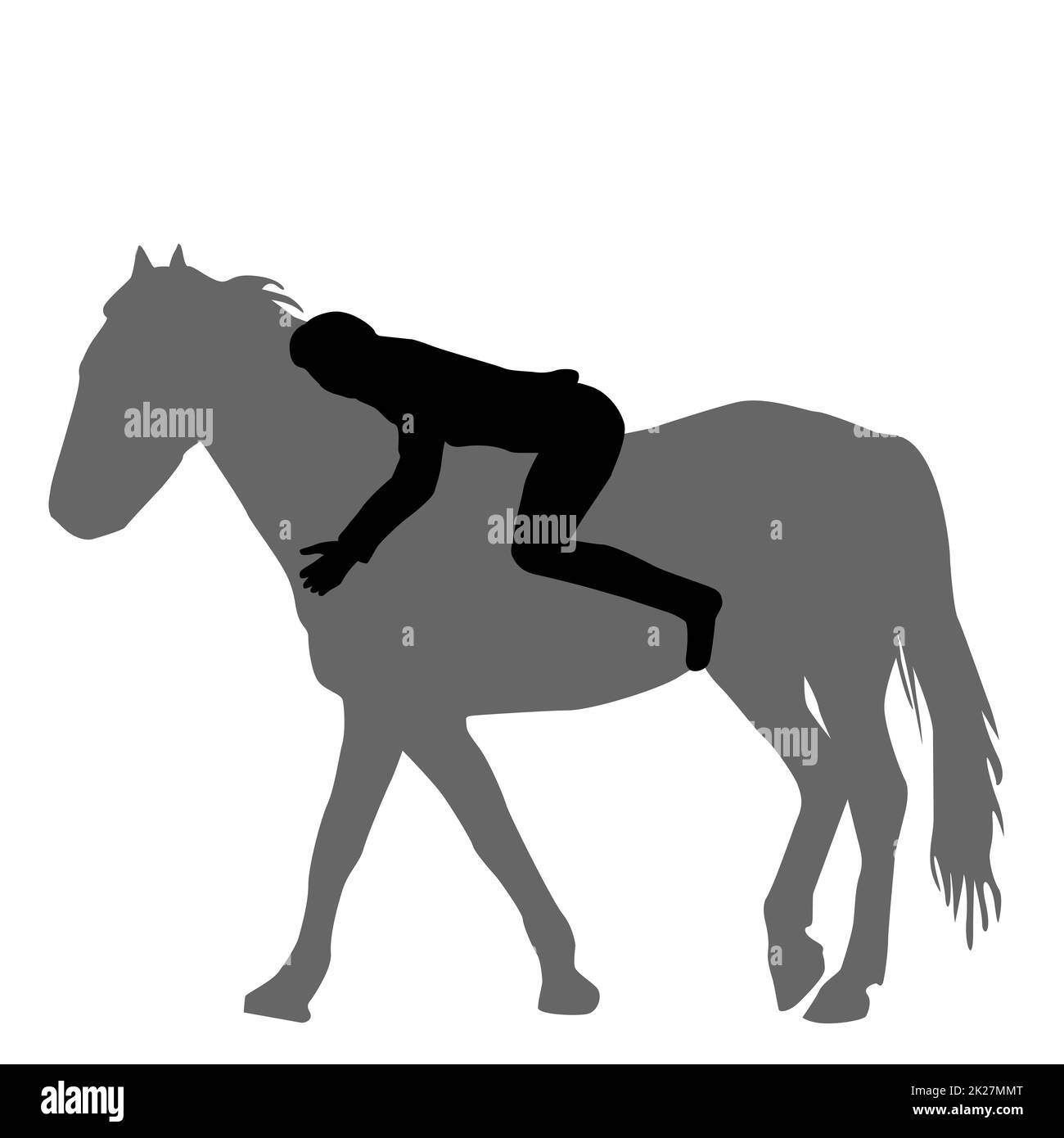 Silueta de una mujer acostada sobre el caballo y abrazándolo Fotografía