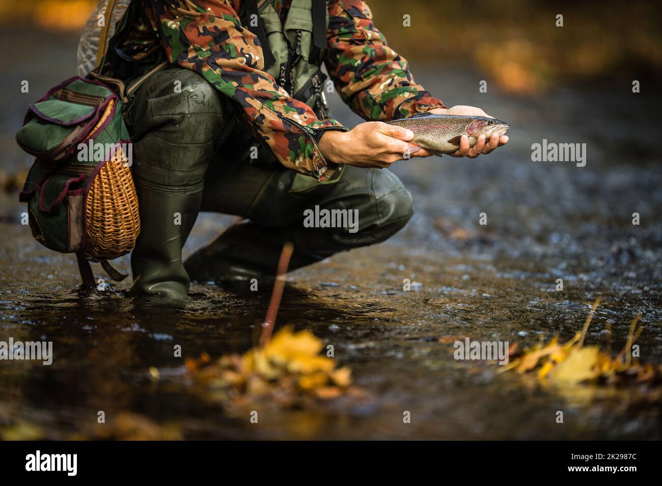 Vista cercana de las manos de un pescador con mosca sosteniendo un encantador mientras que la pesca con mosca de truchas en un espléndido río de montaña Foto de stock