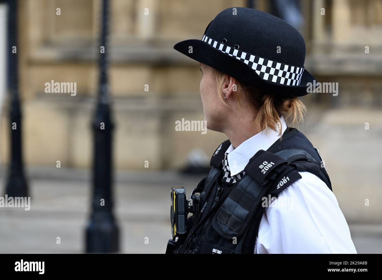 Policía, Casas del Parlamento, Westminster, Londres. REINO UNIDO Foto de stock