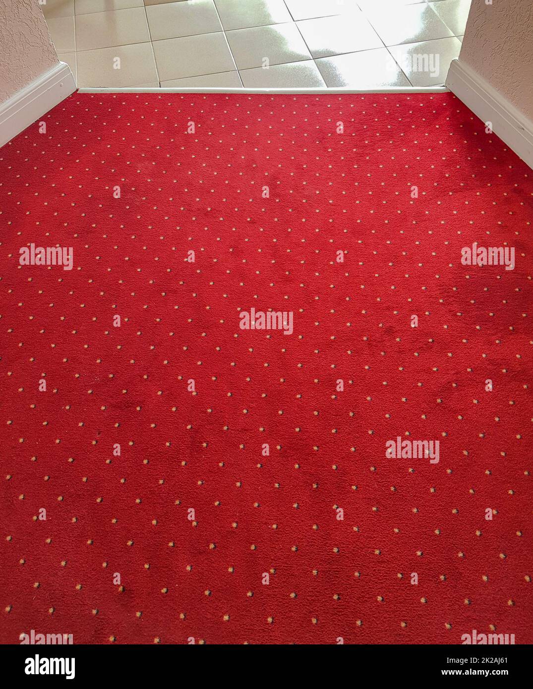 Primer plano de la lujosa alfombra roja del suelo, el interior del pasillo del hotel Foto de stock