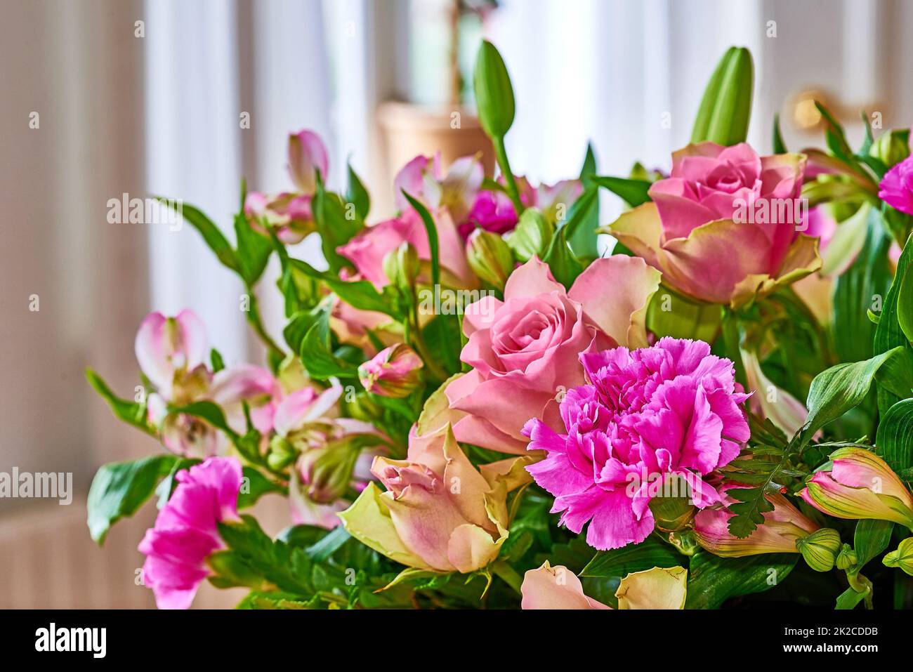 Todo tipo de flores fotografías e imágenes de alta resolución - Alamy