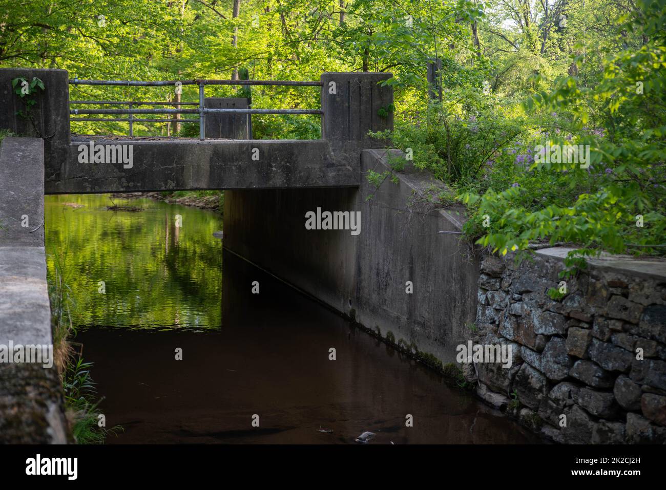 Puente sobre un canal de piedra con bosques verdes reflejados en el agua Foto de stock