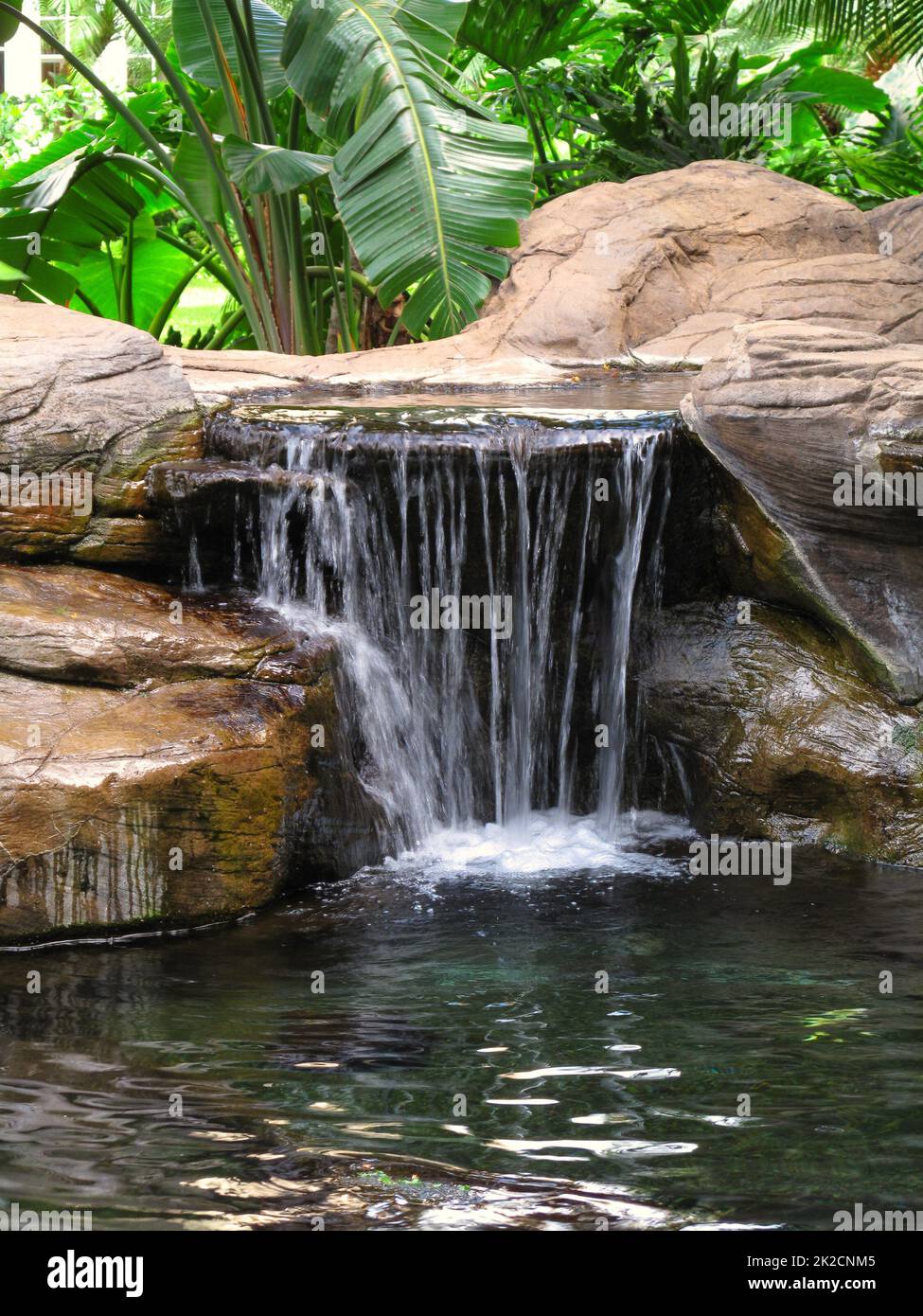 Cascada de jardín estanque de jardín con flores de agua estanque en un  patio trasero rodeado de piedra durante
