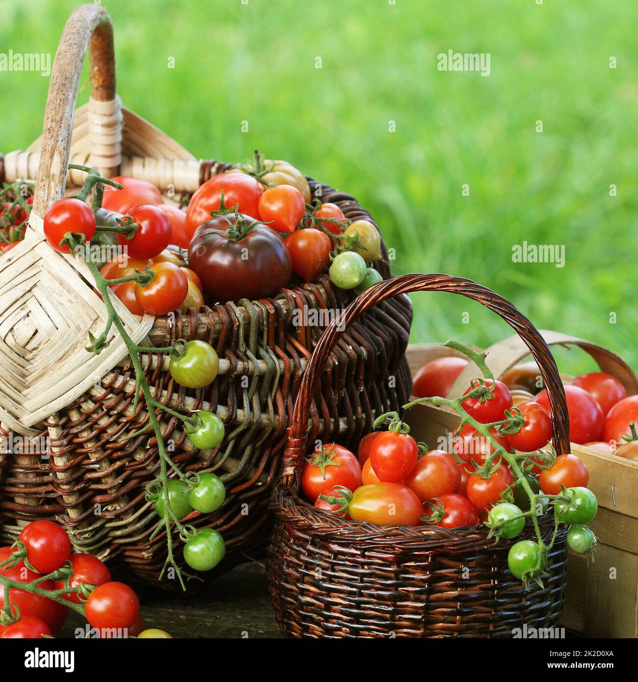 Reliquia de la variedad de tomate en cestas coloridas - tomate rojo, el amarillo, el naranja. Cosecha cocinar vegetales concepción Foto de stock
