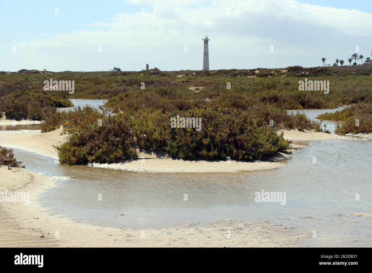 Saladar de JandÃ­a, ein Feuchtgebiet und Naturschutzgebiet an der Playa del Matorral Foto de stock
