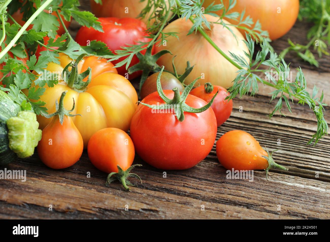 Colorido tomates - rojo, el amarillo, el naranja. Cocinar vegetales de cosecha de la concepción. Foto de stock