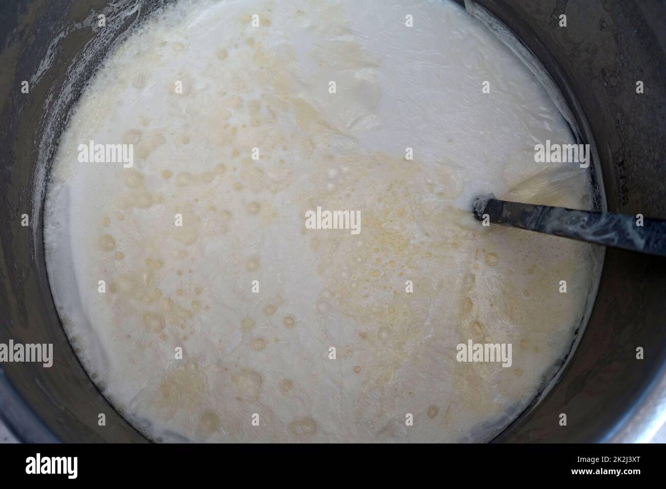 Leche natural de vaca con mucha grasa, hervida para fermentar yogur Foto de stock