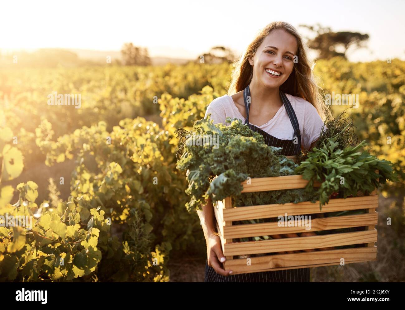 Cultiva tus alimentos orgánicamente. Tiro de una mujer joven que sostiene una caja llena de productos recién recogidos en una granja. Foto de stock
