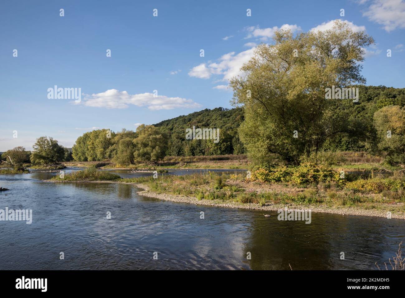 El renaturalizado y rediseñado río Lenne en Hagen, zona de Ruhr, Renania del Norte-Westfalia, Alemania. Die renaturierte und umgestaltete Lenne en Hagen, R. Foto de stock