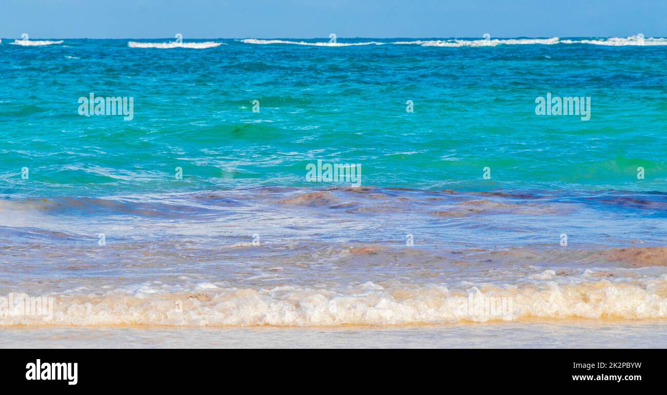 Olas agua costa caribeña y playa vista panorámica Tulum México. Foto de stock