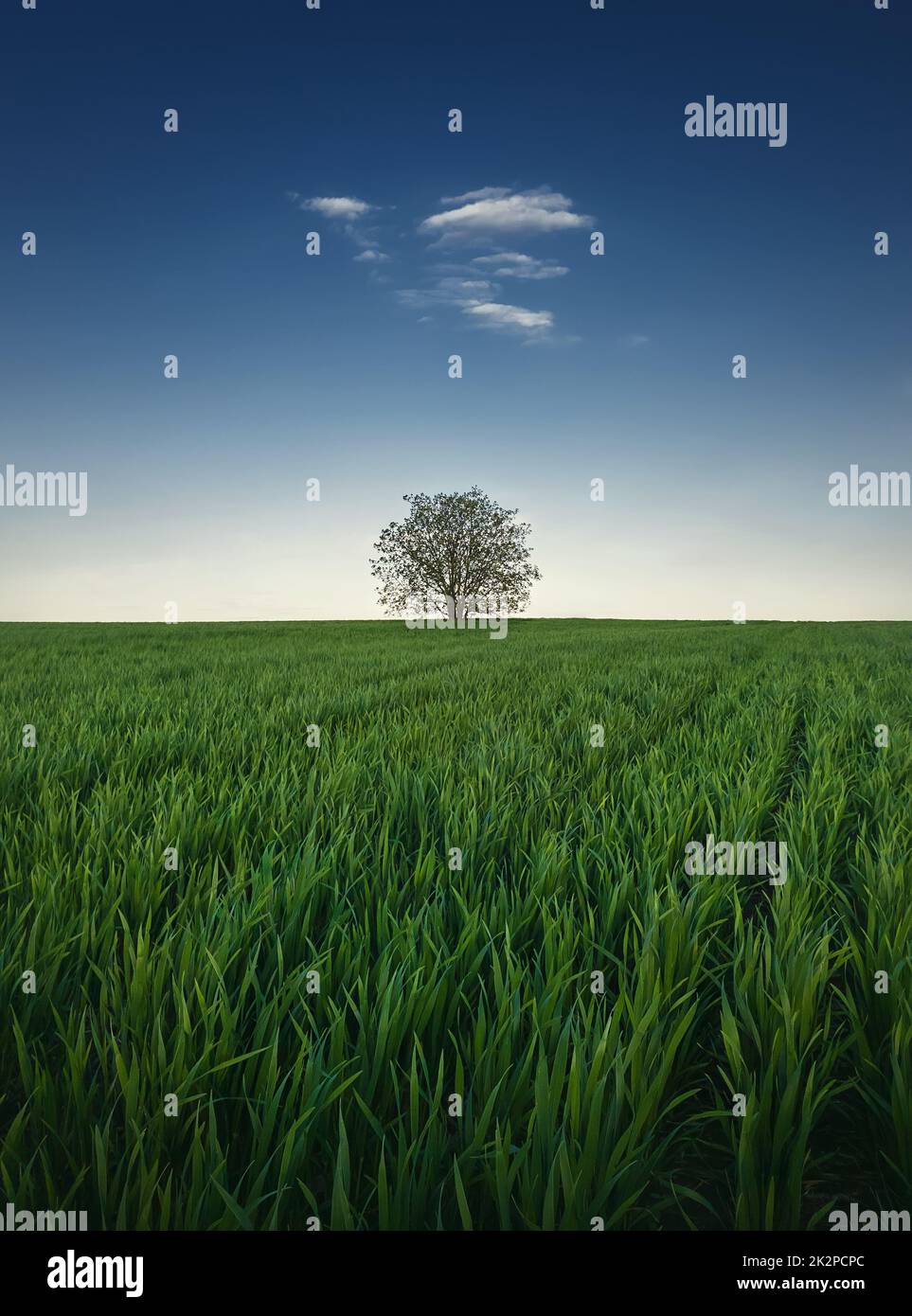 Fondo minimalista fotografías e imágenes alta resolución - Alamy