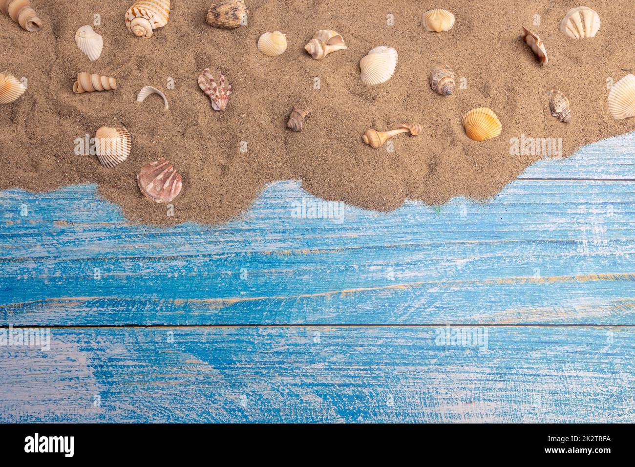 Conchas marinas en la arena sobre un fondo azul Foto de stock