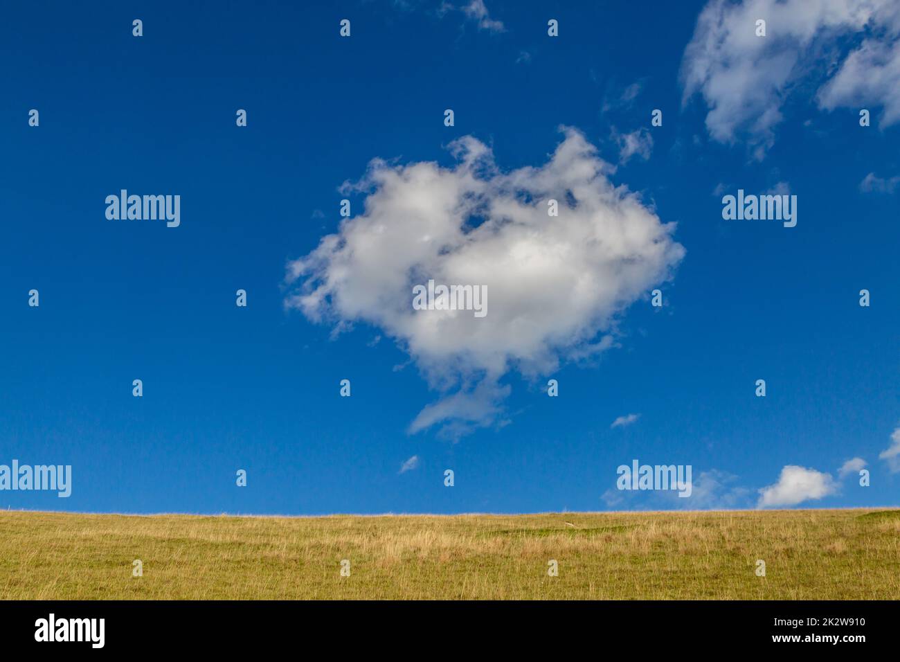 Nubes esponjosas contra un cielo azul sobre un campo en Dorset Foto de stock