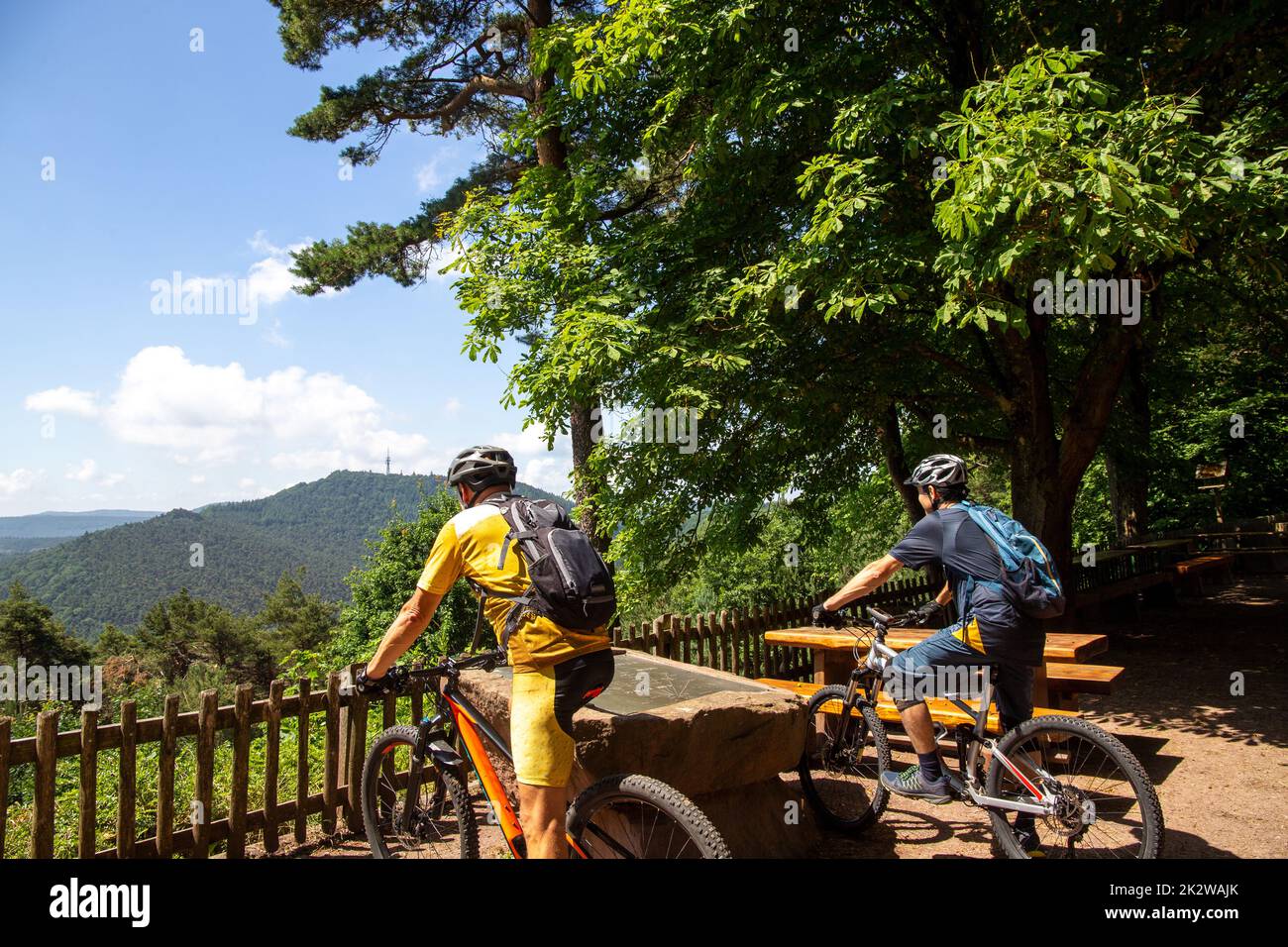 Los ciclistas de montaña toman un descanso en la cumbre de Hohe Loog cerca de Neustadt en el Bosque del Palatinado Foto de stock