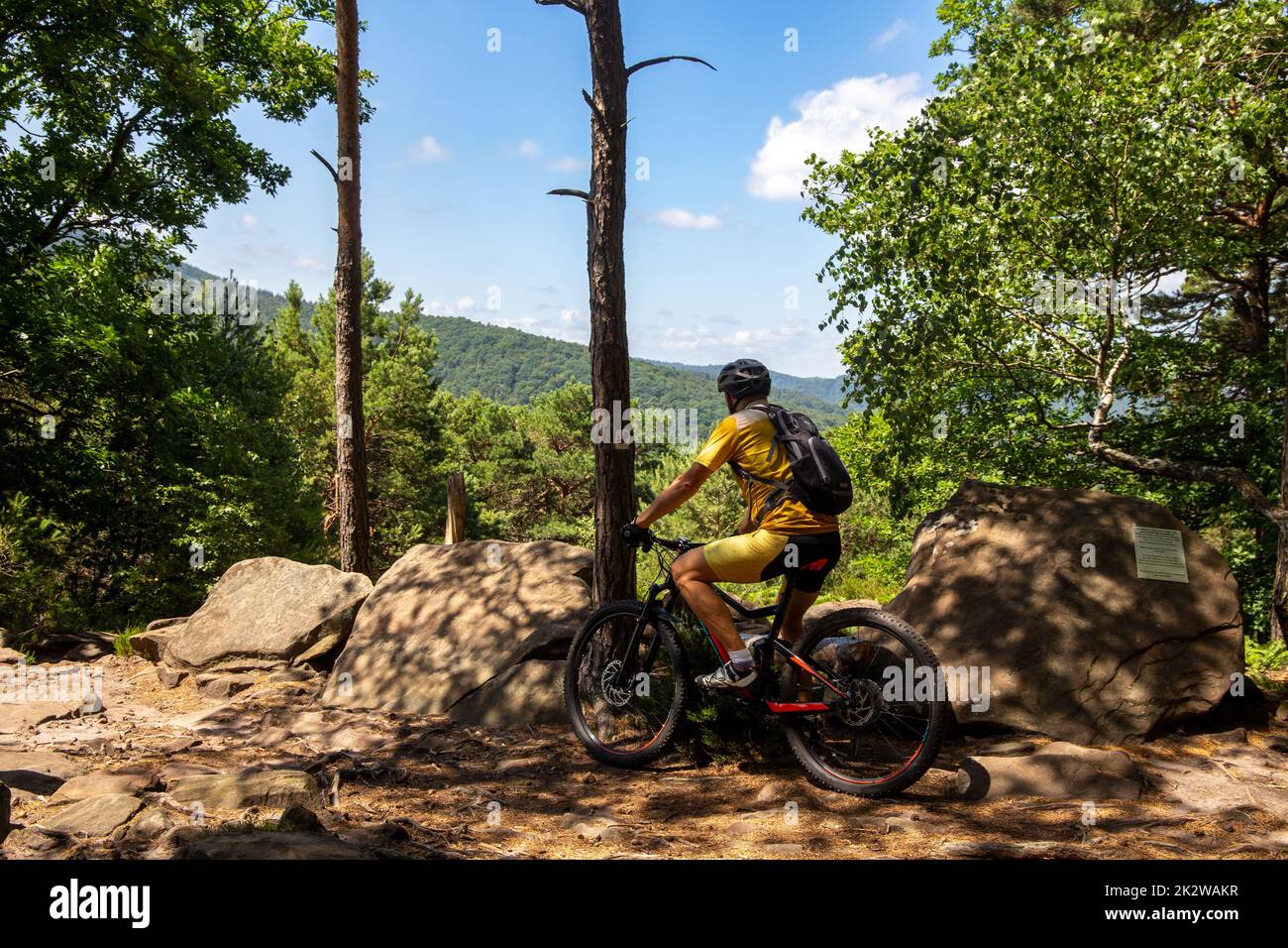 Bicicleta de montaña tomar un descanso en la cumbre de Nollenkopf Neustadt en el Bosque del Palatinado (Alemania) Foto de stock