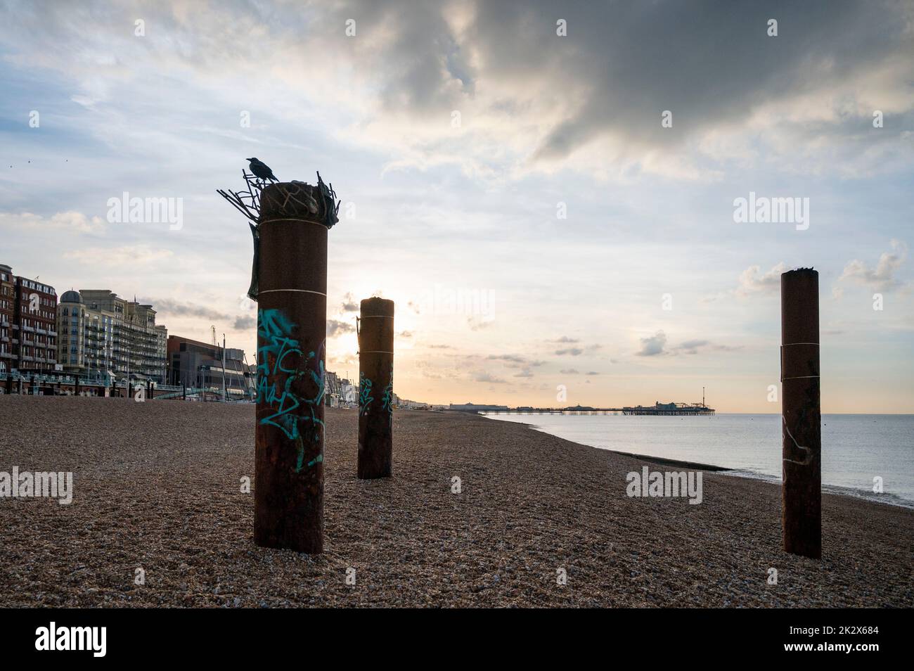 Un cuervo sentado en uno de los pilares oxidantes del abandonado West Pier en la playa de Brighton Sussex, Reino Unido Fotografía tomada por Simon Dack Foto de stock