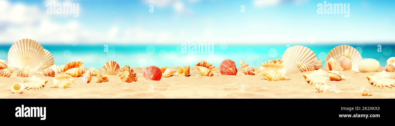 Paisaje con conchas marinas en la playa tropical - vacaciones de verano. Foto de stock