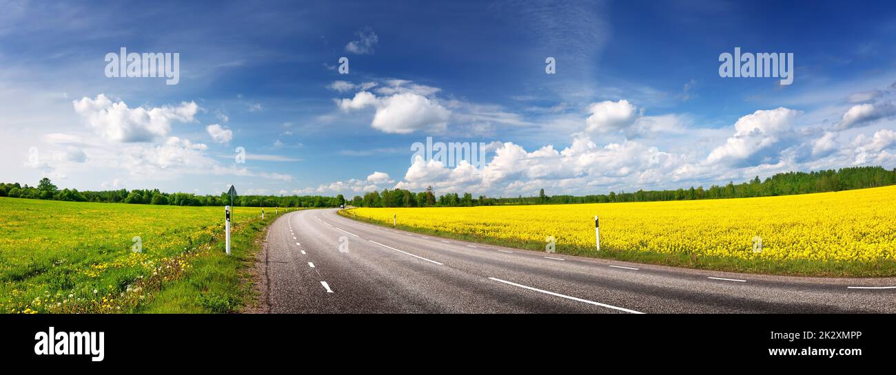 Vista panorámica de la curva de asfalto en primavera en la naturaleza. Foto de stock