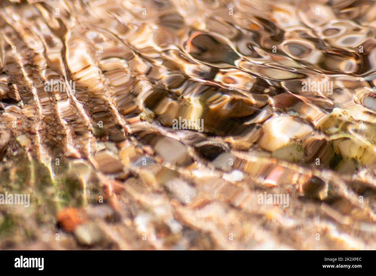 Piedras En Agua Brillante Con Reflejos Soleados En El Agua De Un Arroyo De Agua Cristalina Como 5579