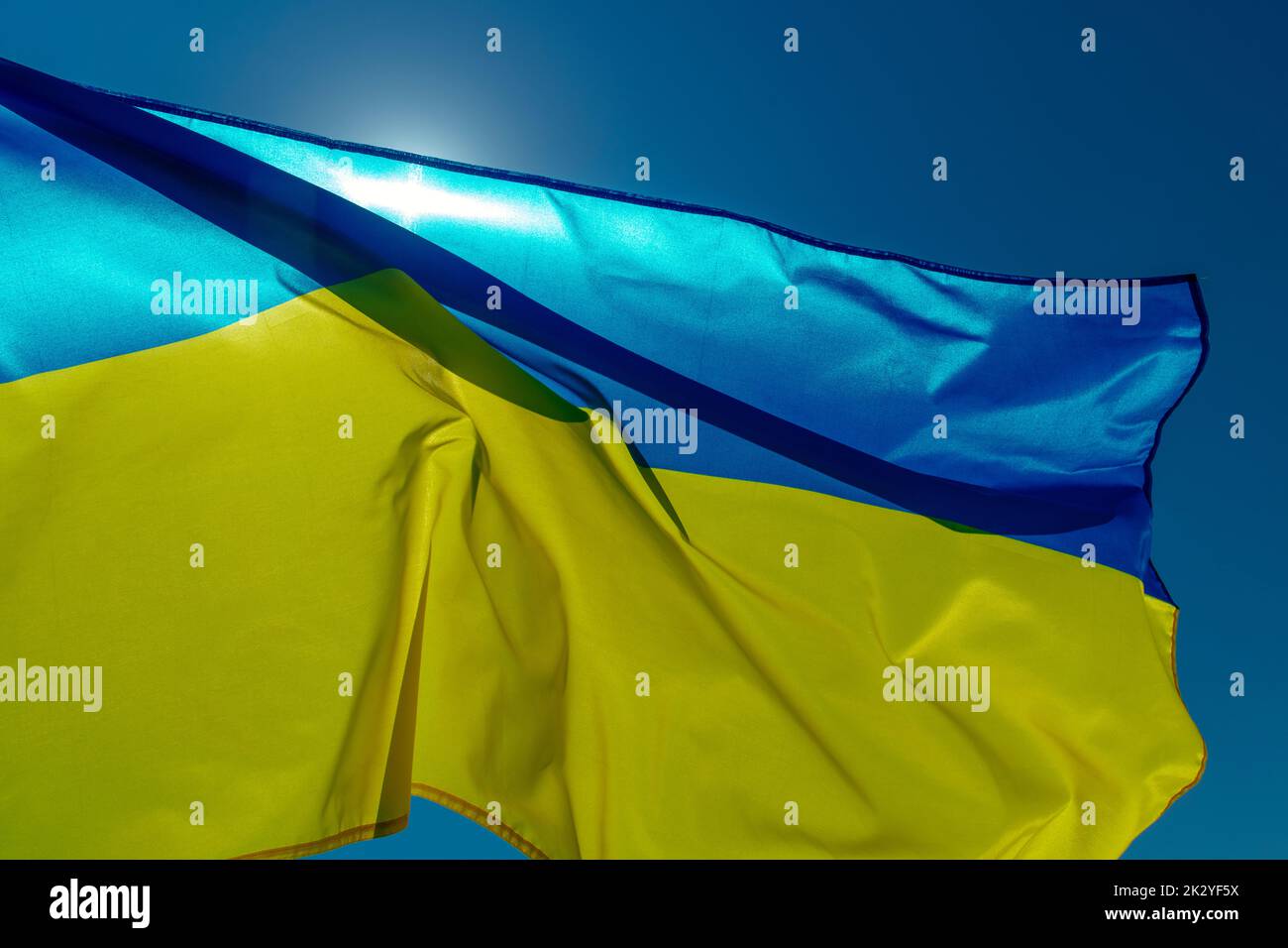 la bandera ucraniana vuela sobre el cielo azul en un día soleado, a la luz del sol Foto de stock