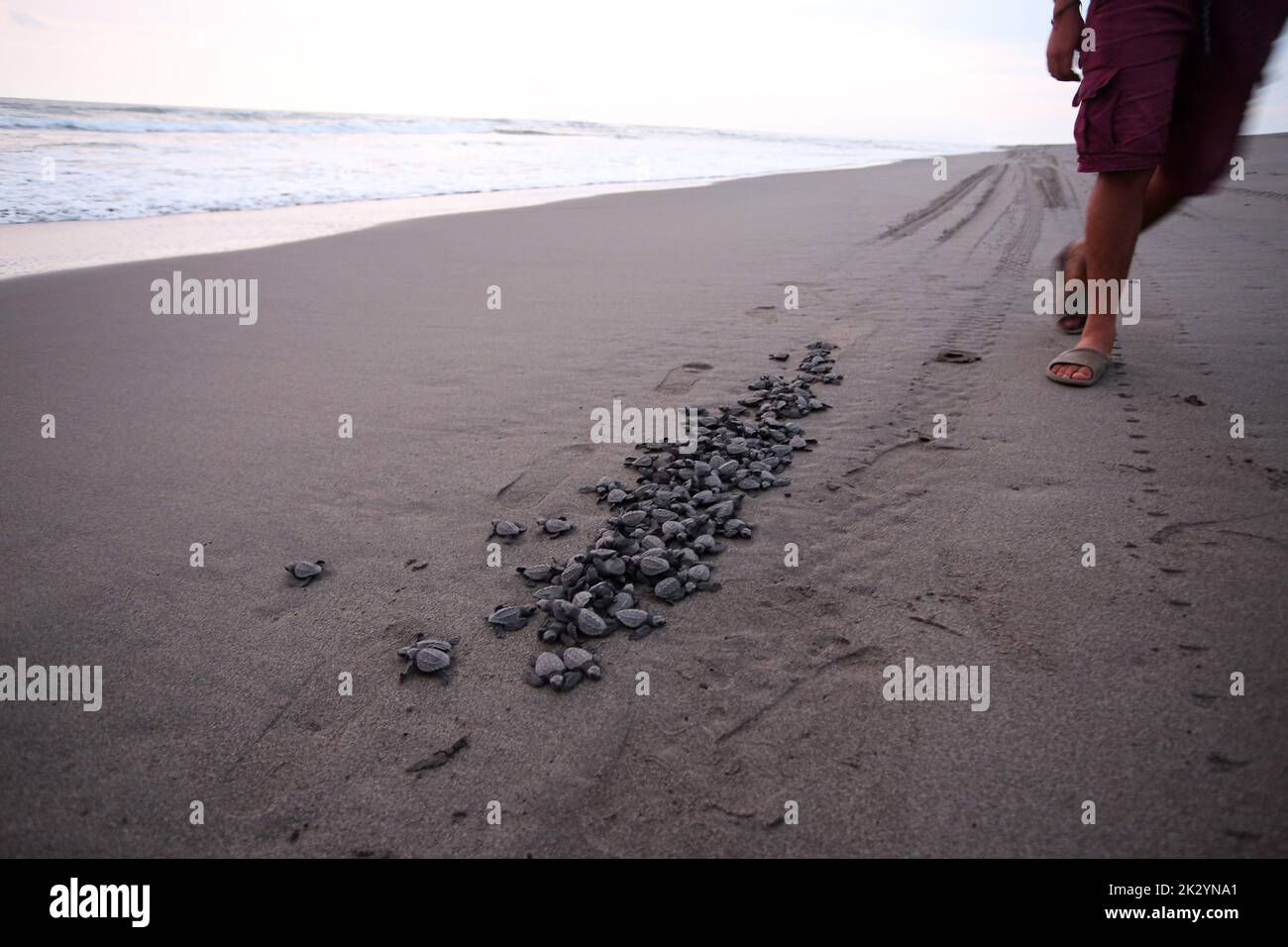 Puerto arista fotografías e imágenes de alta resolución - Alamy