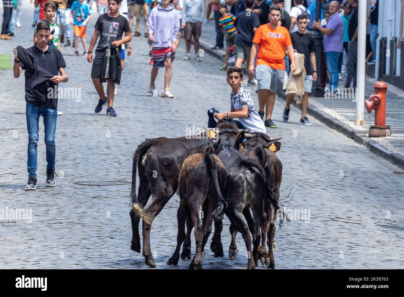ficción Condicional Persuasión Participants in running bulls event fotografías e imágenes de alta resolución - Alamy ficción Condicional Persuasión Participants in running bulls event fotografías e imágenes de alta resolución - Alamy