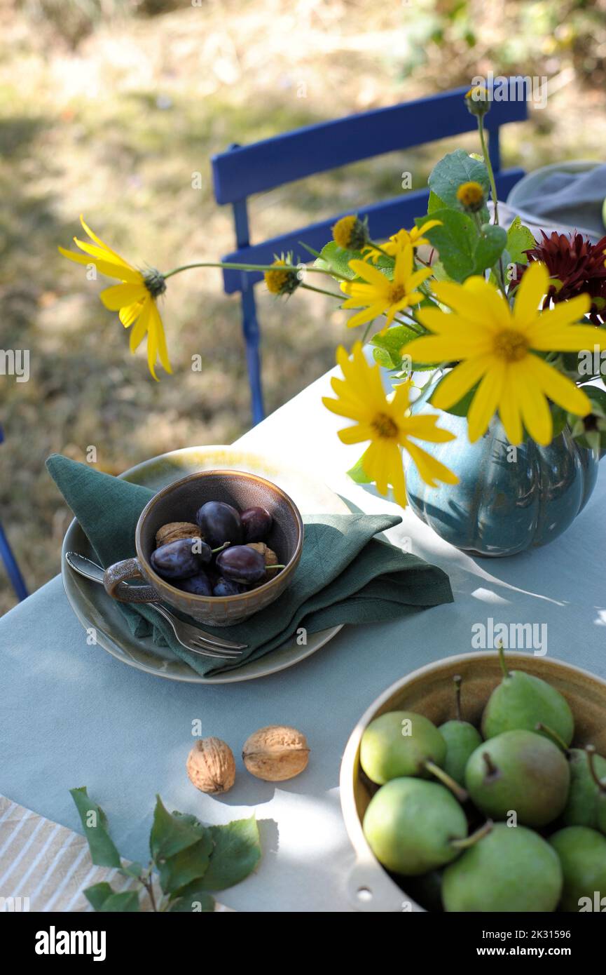 Jarrón con flores, ciruelas, nueces y peras en la mesa decorada en otoño Foto de stock