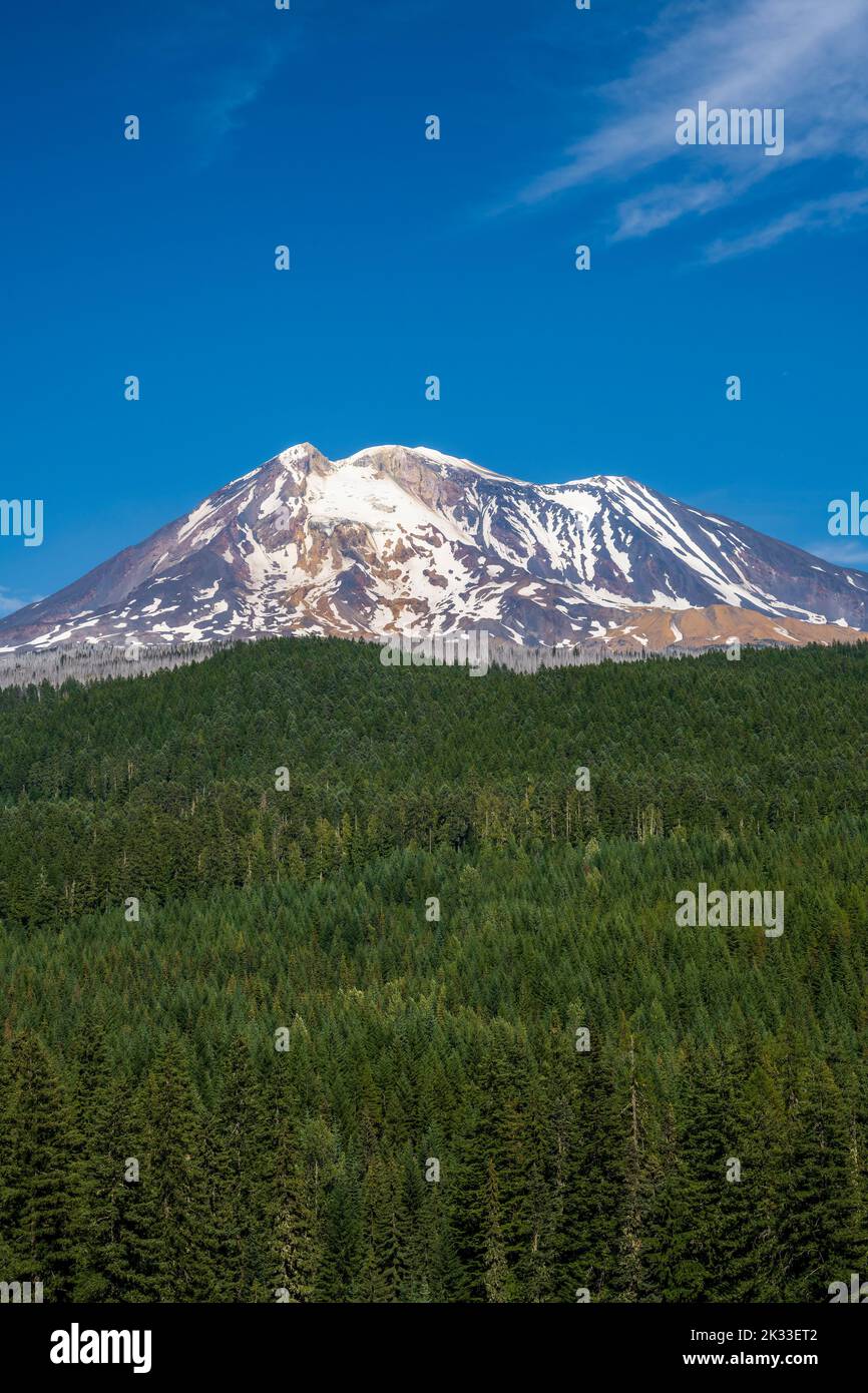 Vista panorámica de Mount Adams, Skamania County, Washington, EE.UU Foto de stock