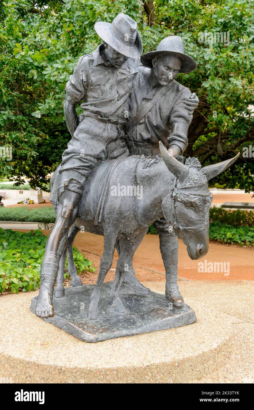 La famosa estatua de bronce de un portador de camilla, el soldado John Simpson Kirkpatrick y su burro, rescatando a un colega herido en la ensenada de ANZAC durante Th Foto de stock