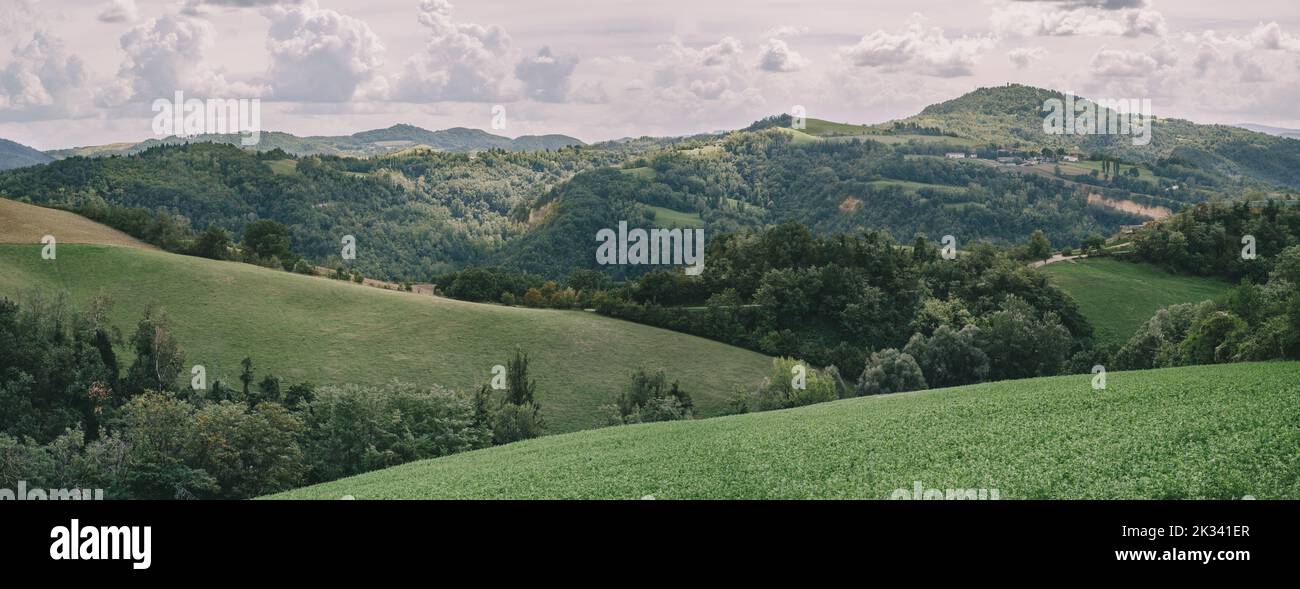 Luces y sombras sobre la madera, las colinas y los campos cultivados en el valle de Zena. Municipio de Pianoro, provincia de Bolonia, Emilia-Romagna, Italia. Foto de stock